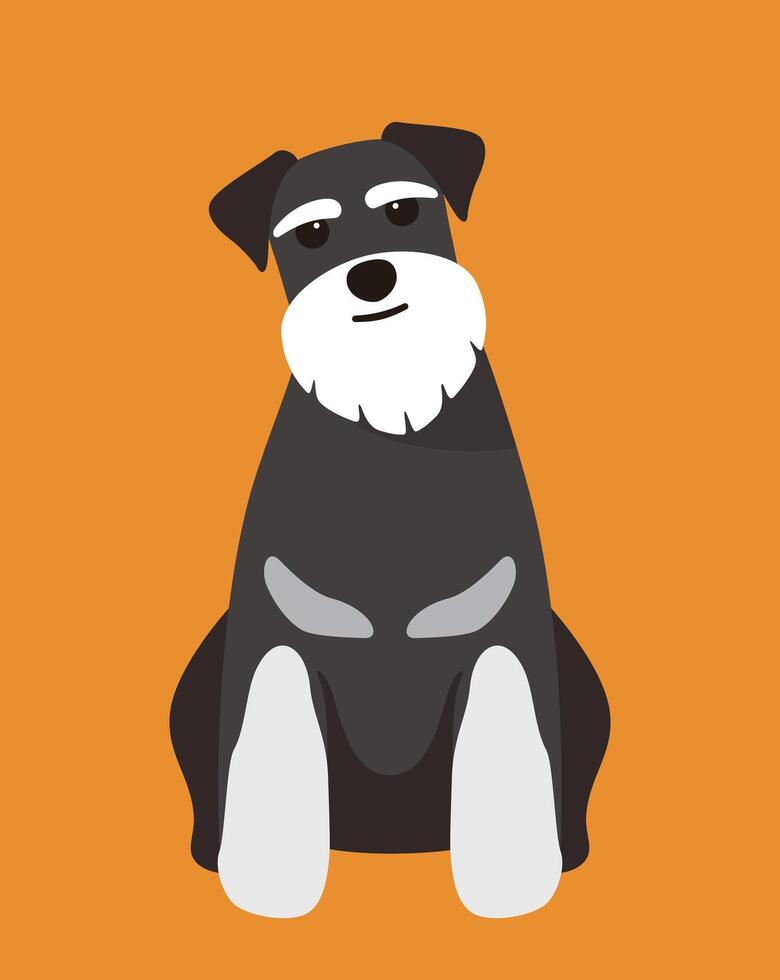Schnauzer dog is sitting waiting for the master's order vector