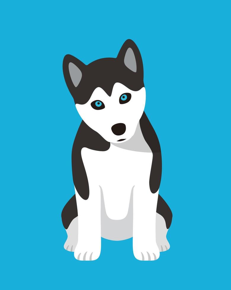 Husky dog is sitting waiting for the master's order vector