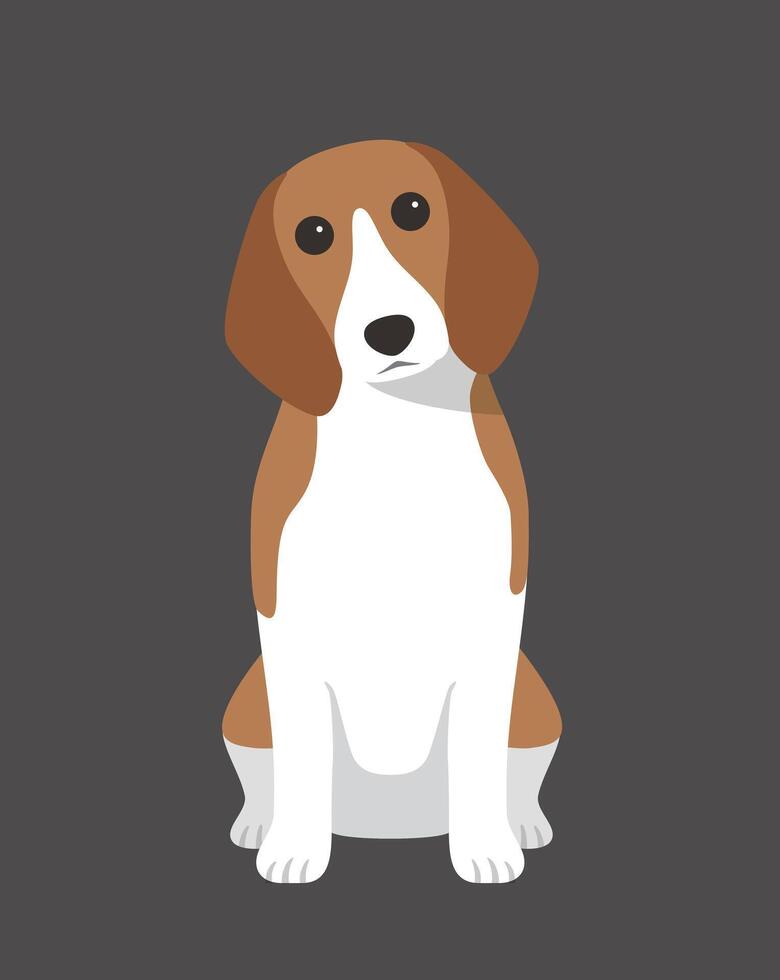 Beagle dog is sitting waiting for taking a picture. vector