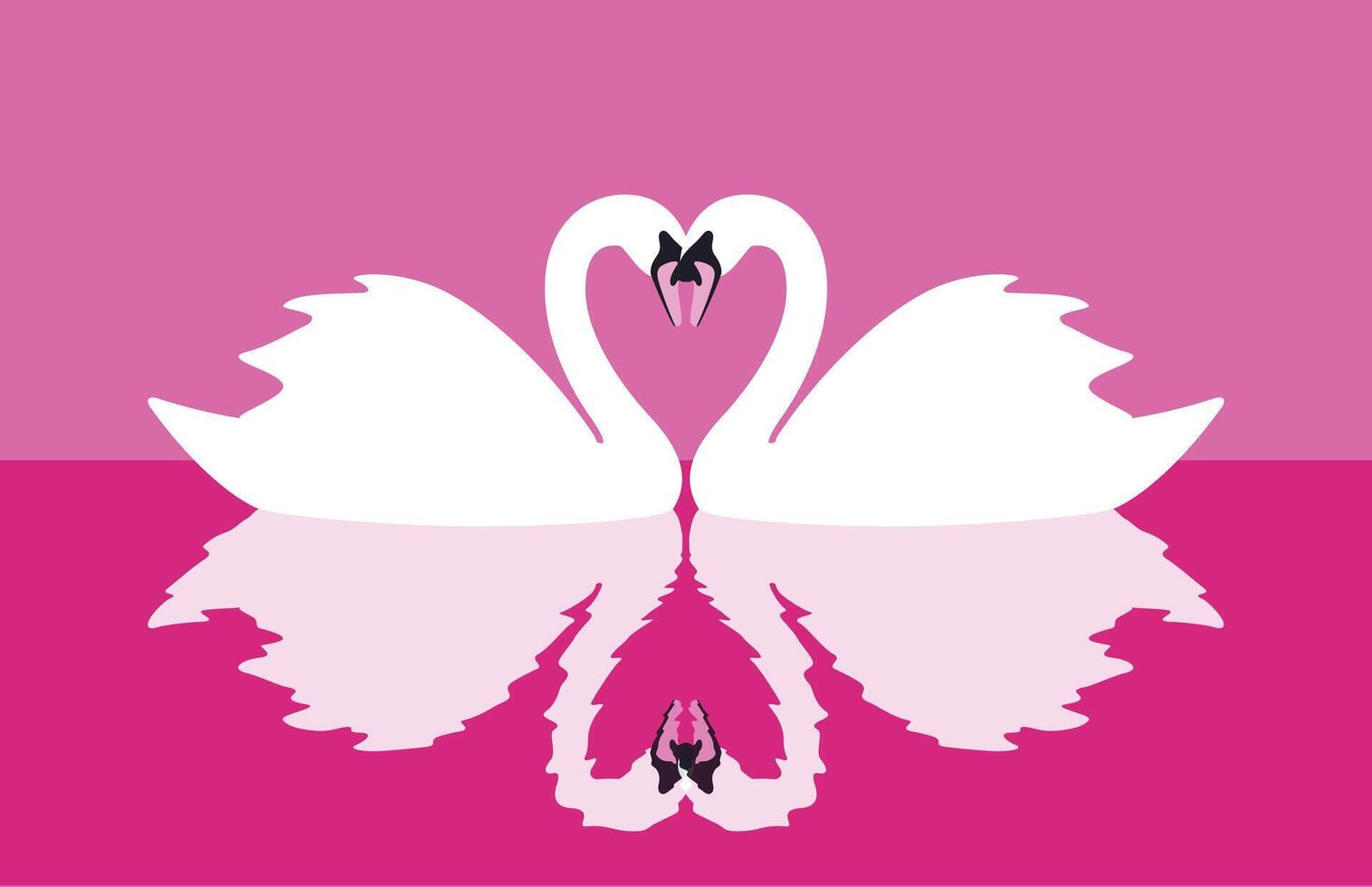 two mute swans face to face swimming, reflection in water, illustration vector