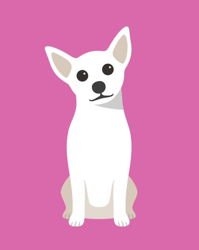 Chihuahua dog is sitting waiting for the master's order vector