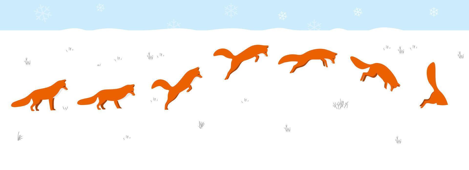 Red fox jumping and hunting on the snow vector