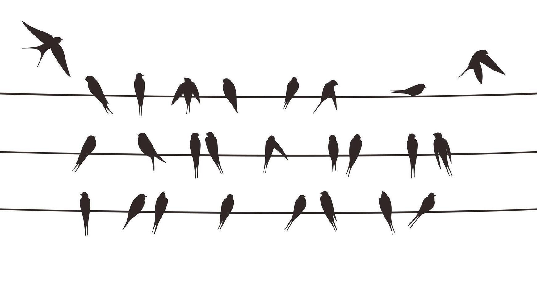 Flock swallows on the electric wire, illustration vector