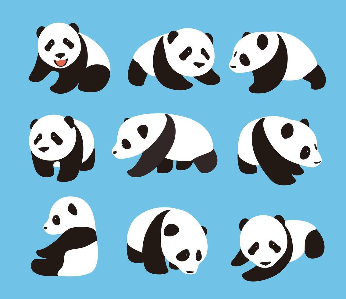 cute panda baby set, flat design illustrator vector