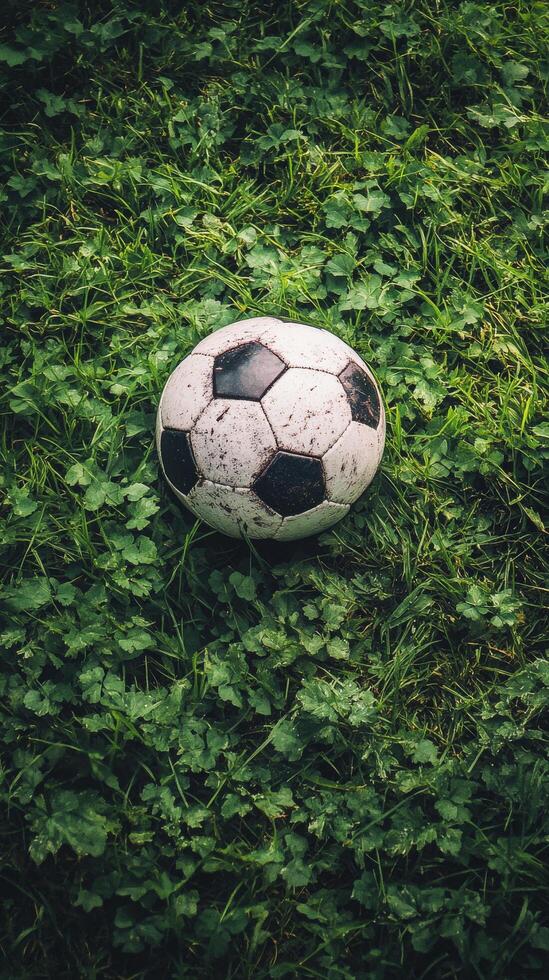 Worn soccer ball resting on grass field after a lively game in the afternoon light photo