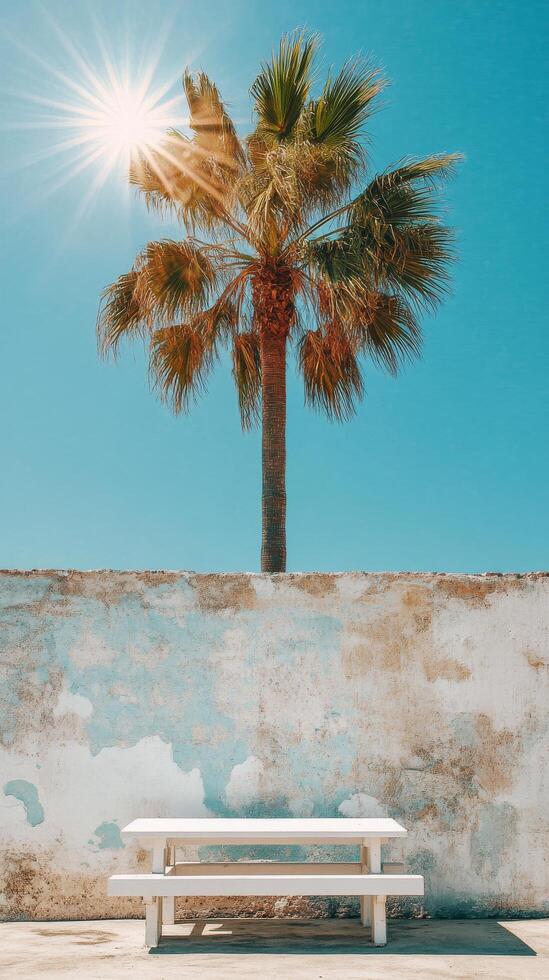 Bright sunlight illuminating a palm tree above a white picnic table against a wall photo