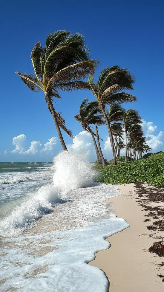 Waves crashing on sandy beach with palm trees and clear blue sky in the background photo