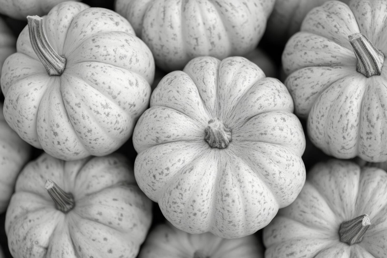 Colorful assortment of pumpkins arranged on a wooden table surrounded by garden foliage photo