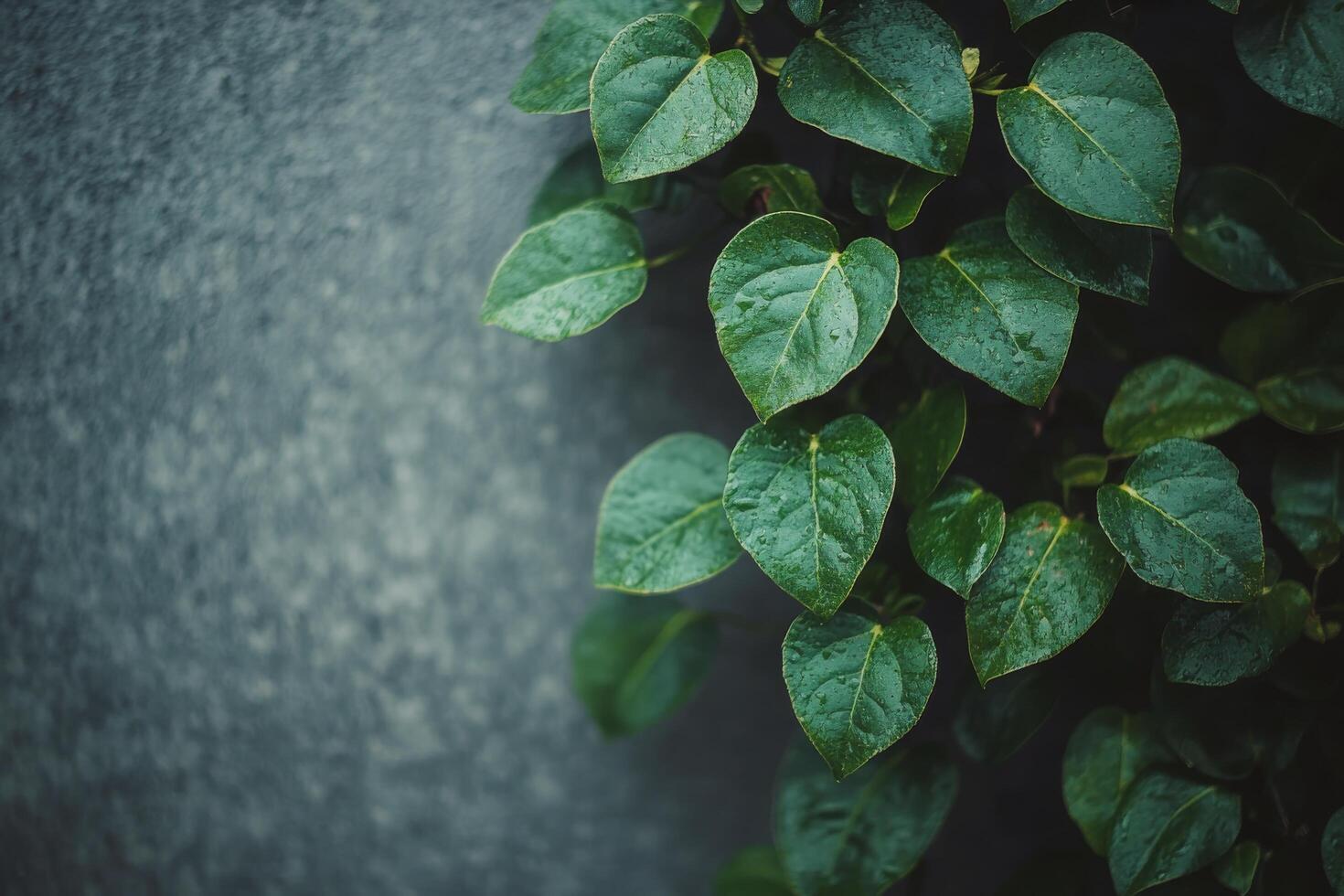 Lush green plants climbing a textured wall in a modern urban setting photo