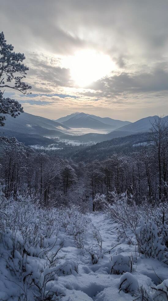 Scenic winter landscape with snow-covered mountains and trees under a cloudy sky photo