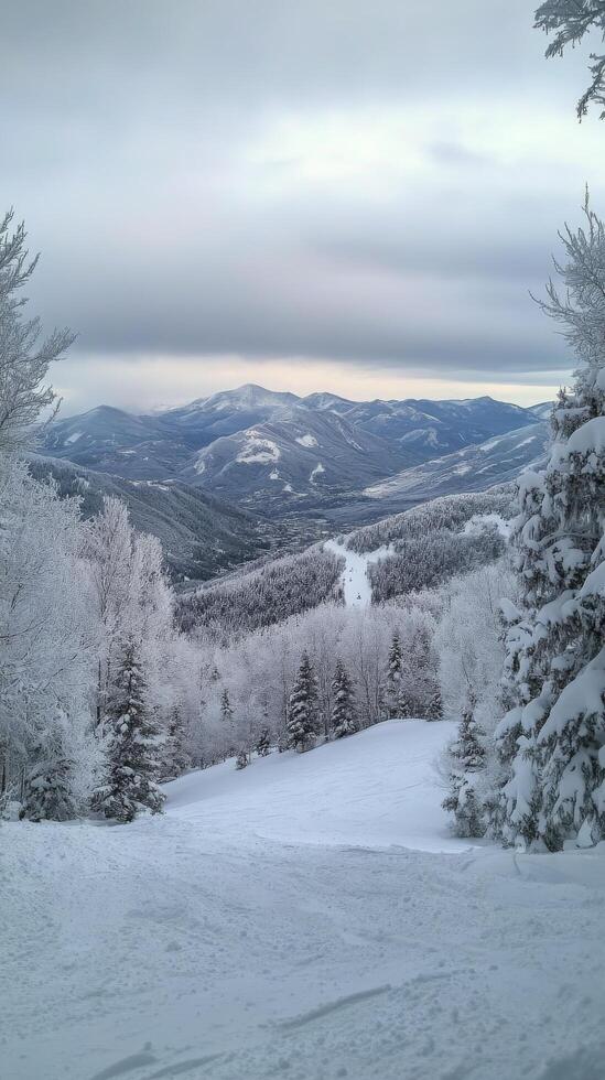 Scenic winter landscape with snow-covered mountains and trees under a cloudy sky photo