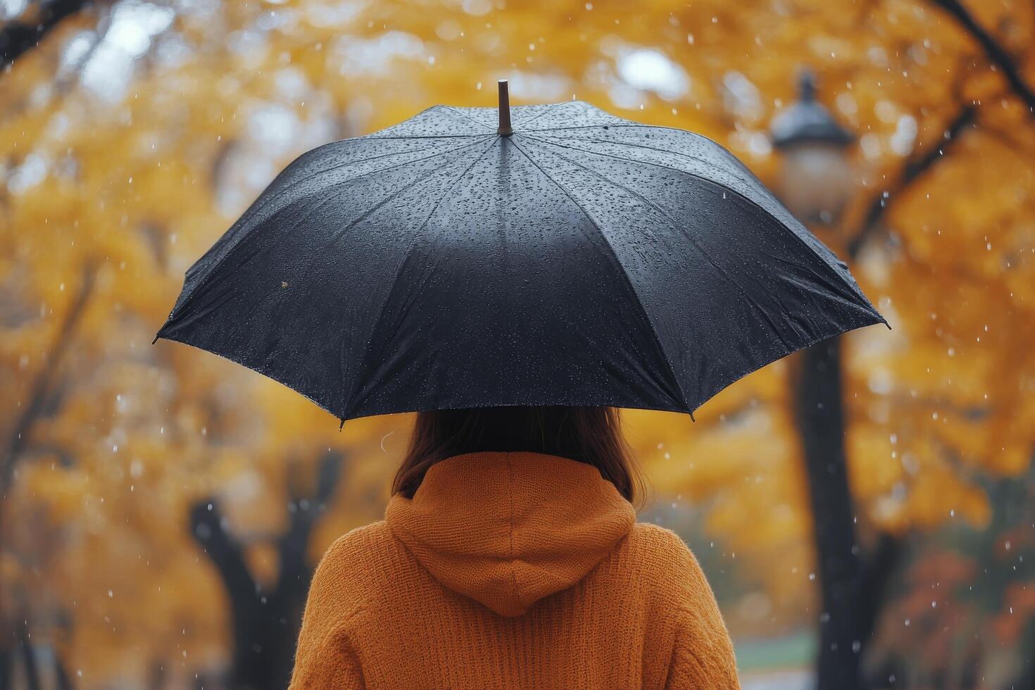 Woman enjoying autumn rain under a black umbrella in a park with vibrant yellow leaves photo