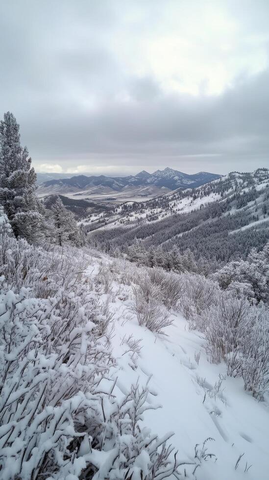 Scenic winter landscape with snow-covered mountains and trees under a cloudy sky photo