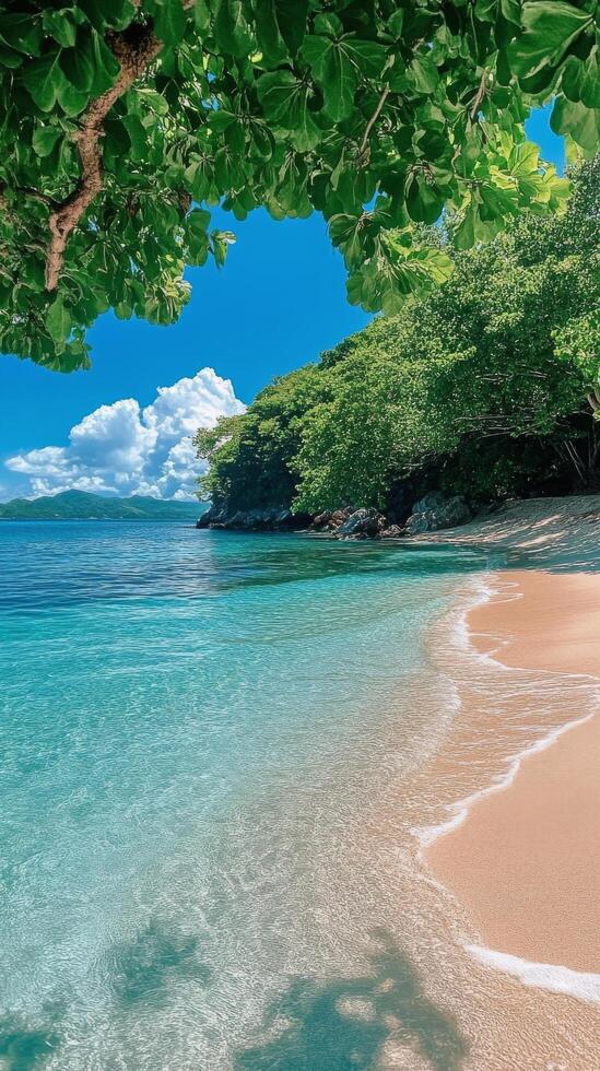 Serene tropical beach with clear water and lush greenery on a sunny day in a coastal paradise photo