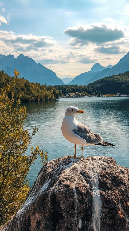 Seagull perched on a rock by a tranquil lake surrounded by autumn-colored trees photo
