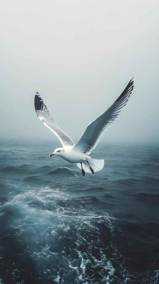 Seagull soaring above calm ocean waters on an overcast day photo