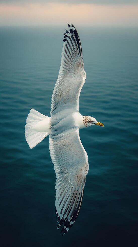 Seagull soaring above calm ocean waters on an overcast day photo