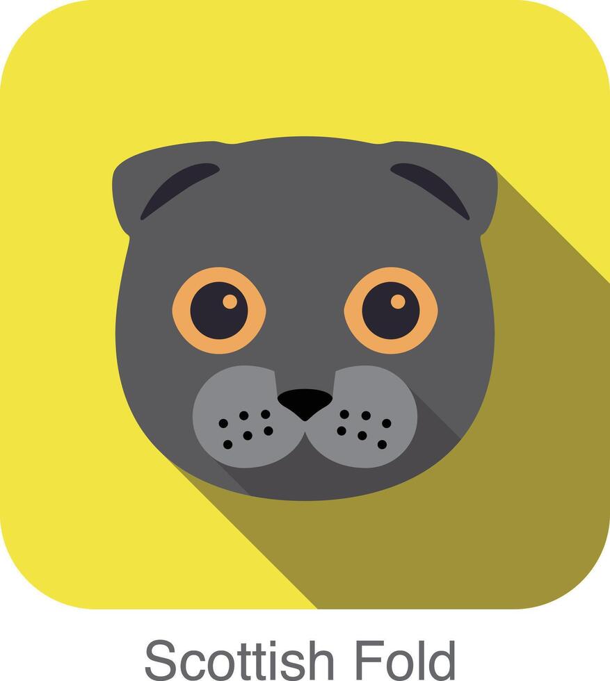 Scottish Fold, Cat breed face cartoon flat icon design vector