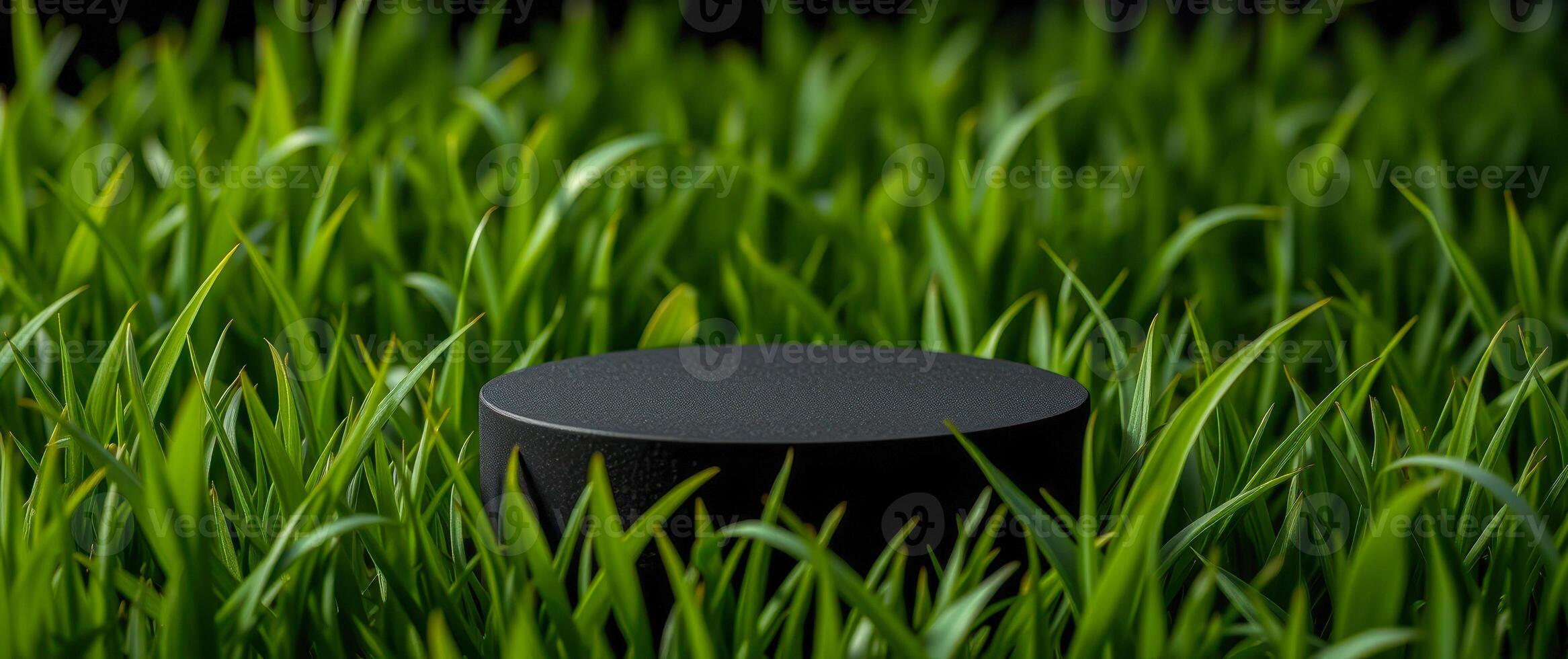 dark cylinder lush green grass photo