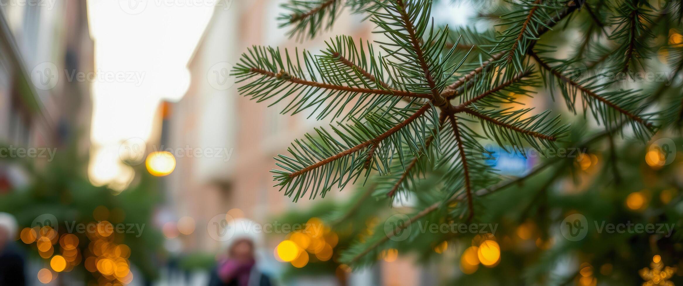 vibrant green conifer branch photo