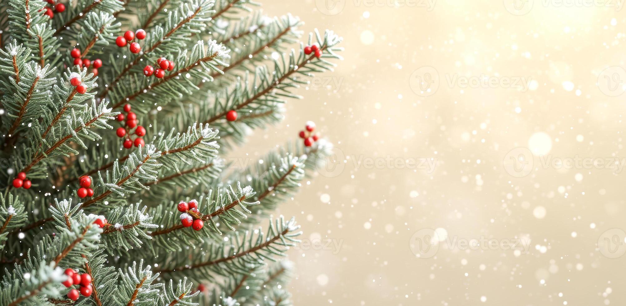 snow-covered evergreen branch with red berries photo