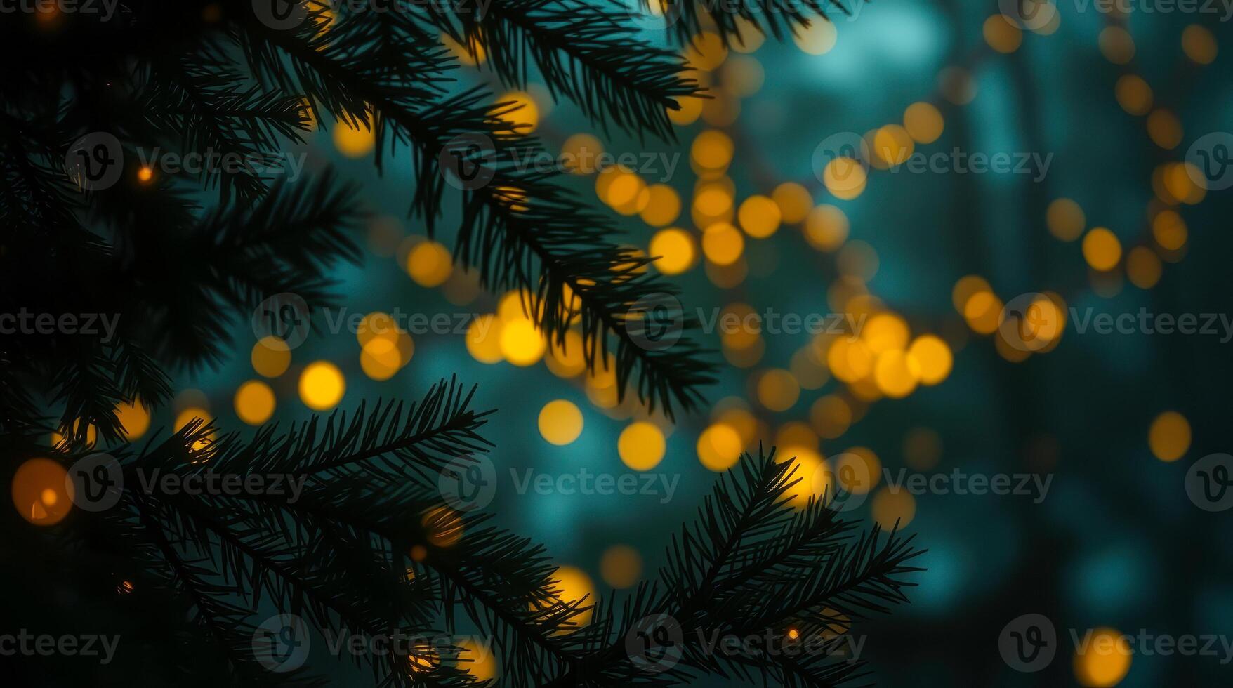 evergreen branches golden lights photo
