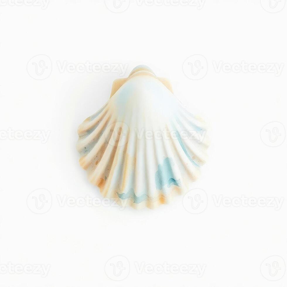 single fluted seashell with a delicate color palette photo