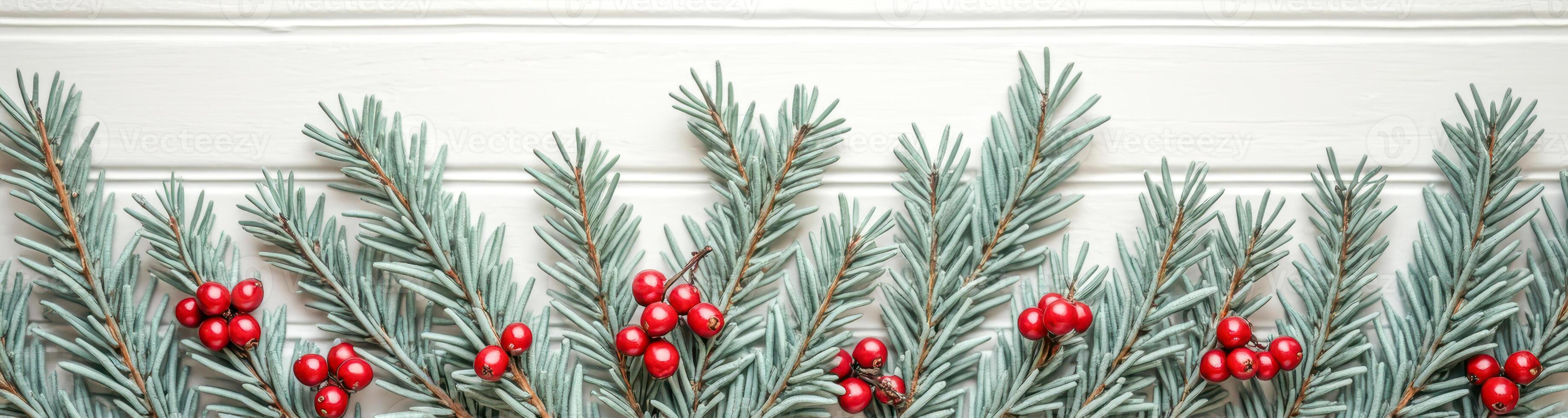 row light-green branches with clusters small red berries on a white background. photo