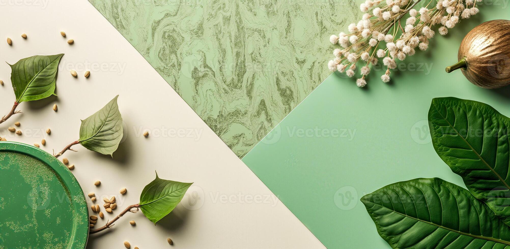 green plate with botanical elements on a two-toned background photo
