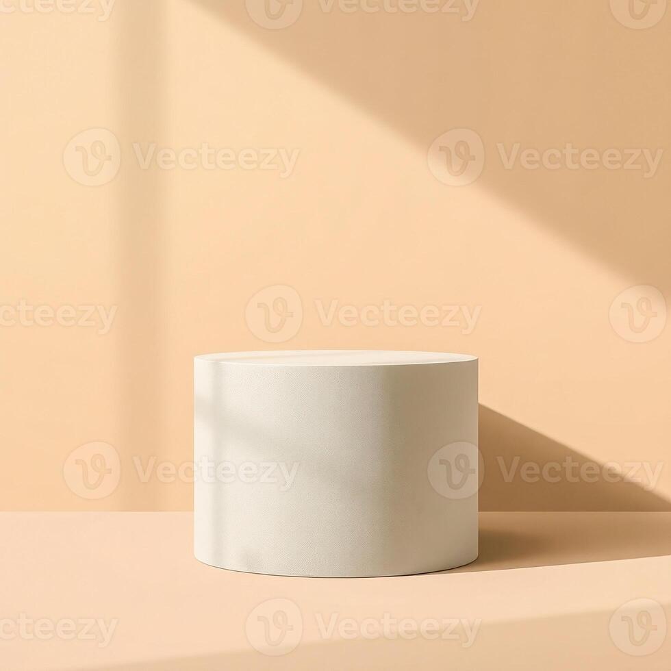 pale background with light gray cylindrical pedestal photo