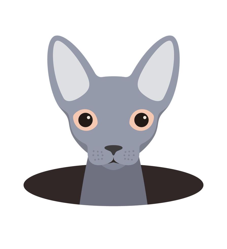 cute cat on the hole, watching, illustration vector