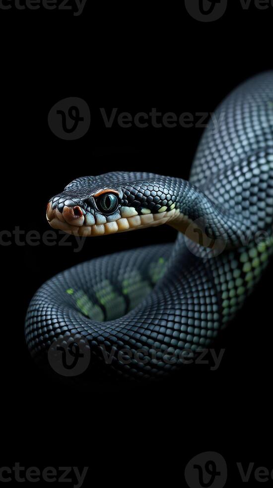 Darkly colored snake coiled elegantly with detailed scales, showcasing its striking features and mesmerizing eyes photo