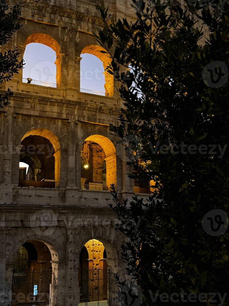 Ancient Roman architecture illuminated at dusk with olive trees framing the Colosseum in Rome, Italy photo