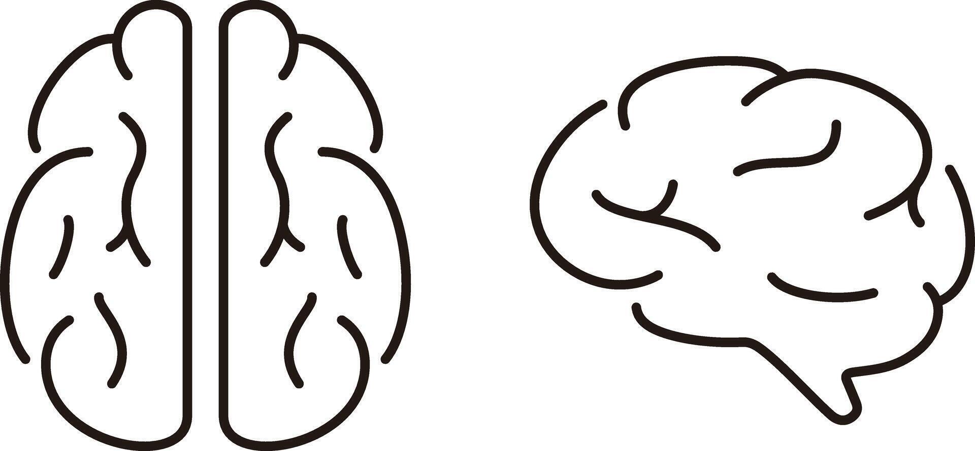 Human organ brain flat icon, illustration vector