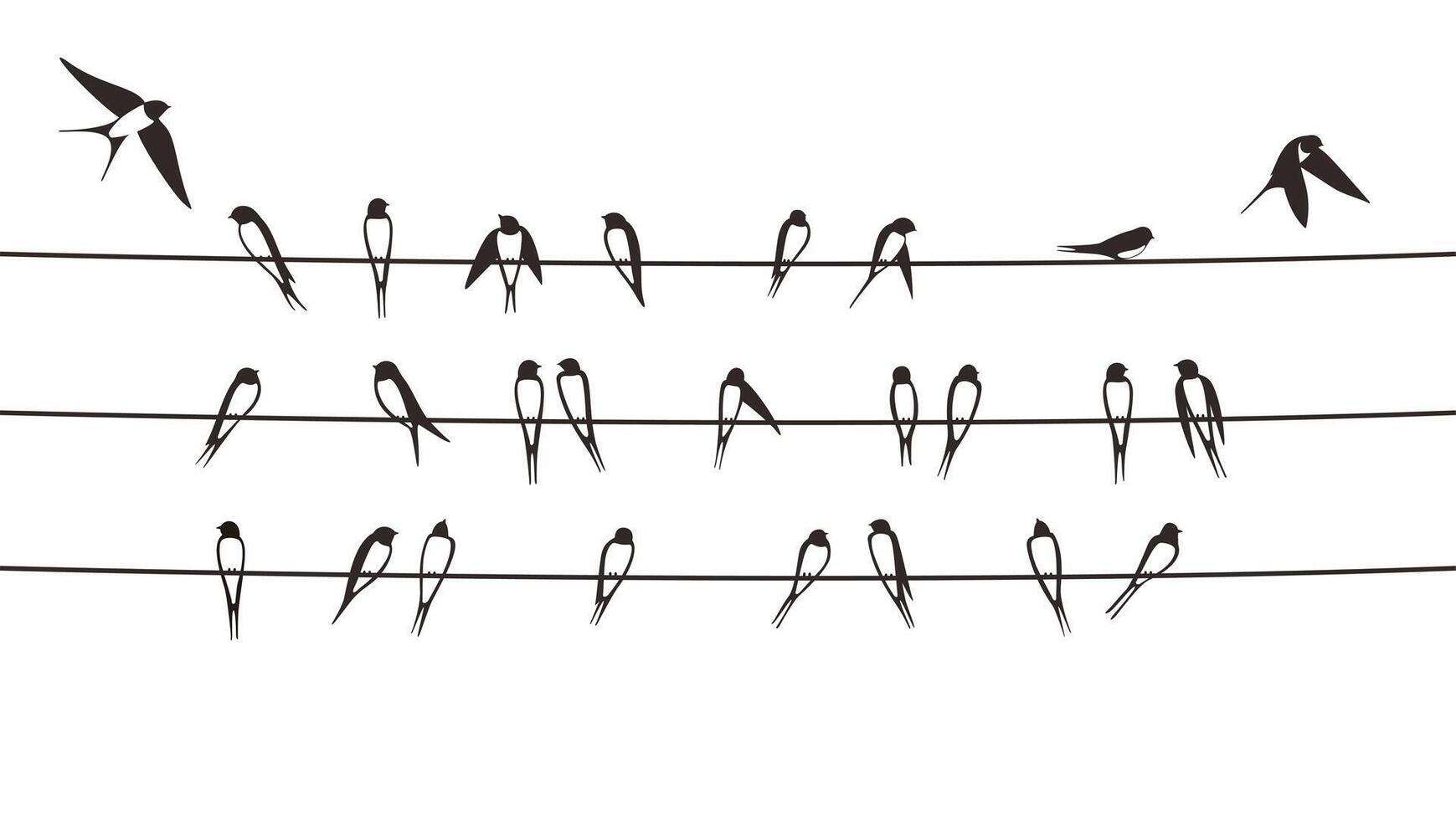 Flock swallows on the electric wire, illustration vector