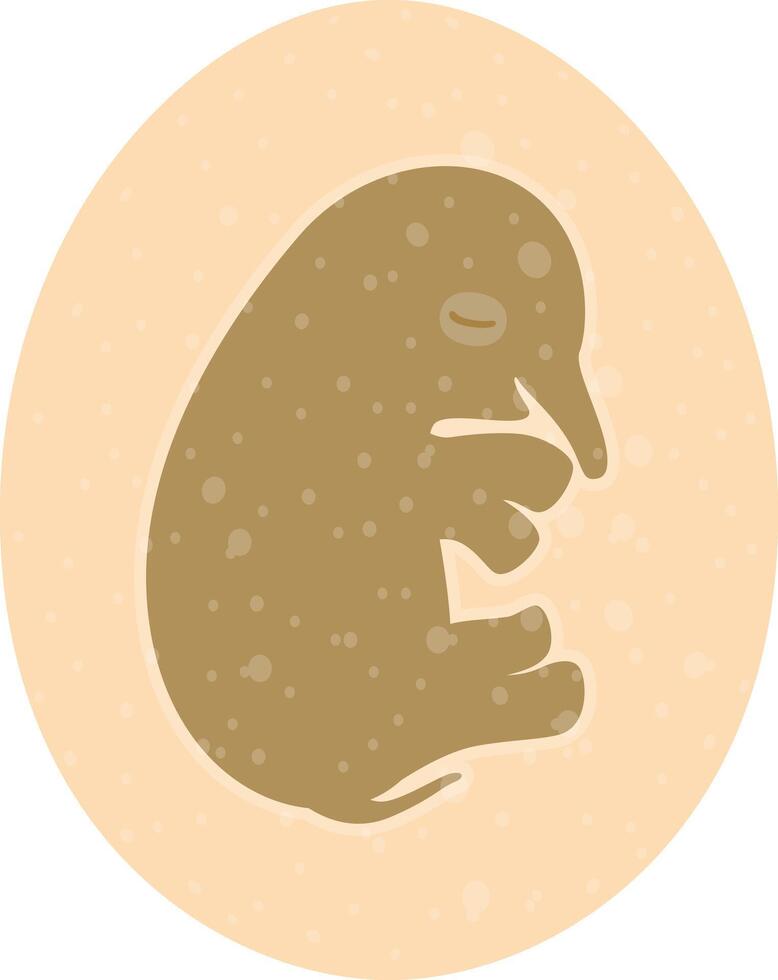 Elephant fetus in the egg, concept of big idea or new company vector