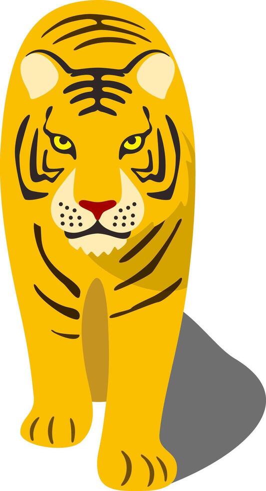 The Tiger comes to the camera, so close vector