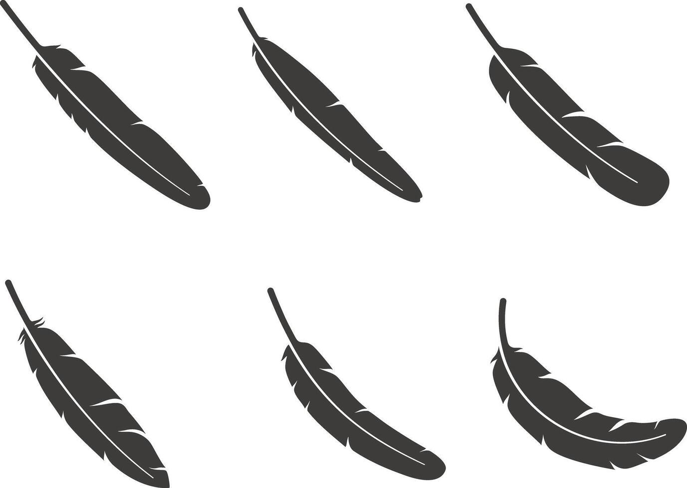 Feather pattern icon set, illustration vector