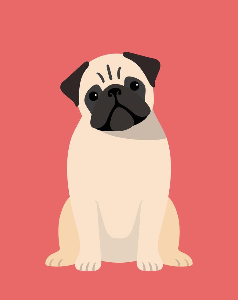 pug dog is sitting waiting for the master's order vector
