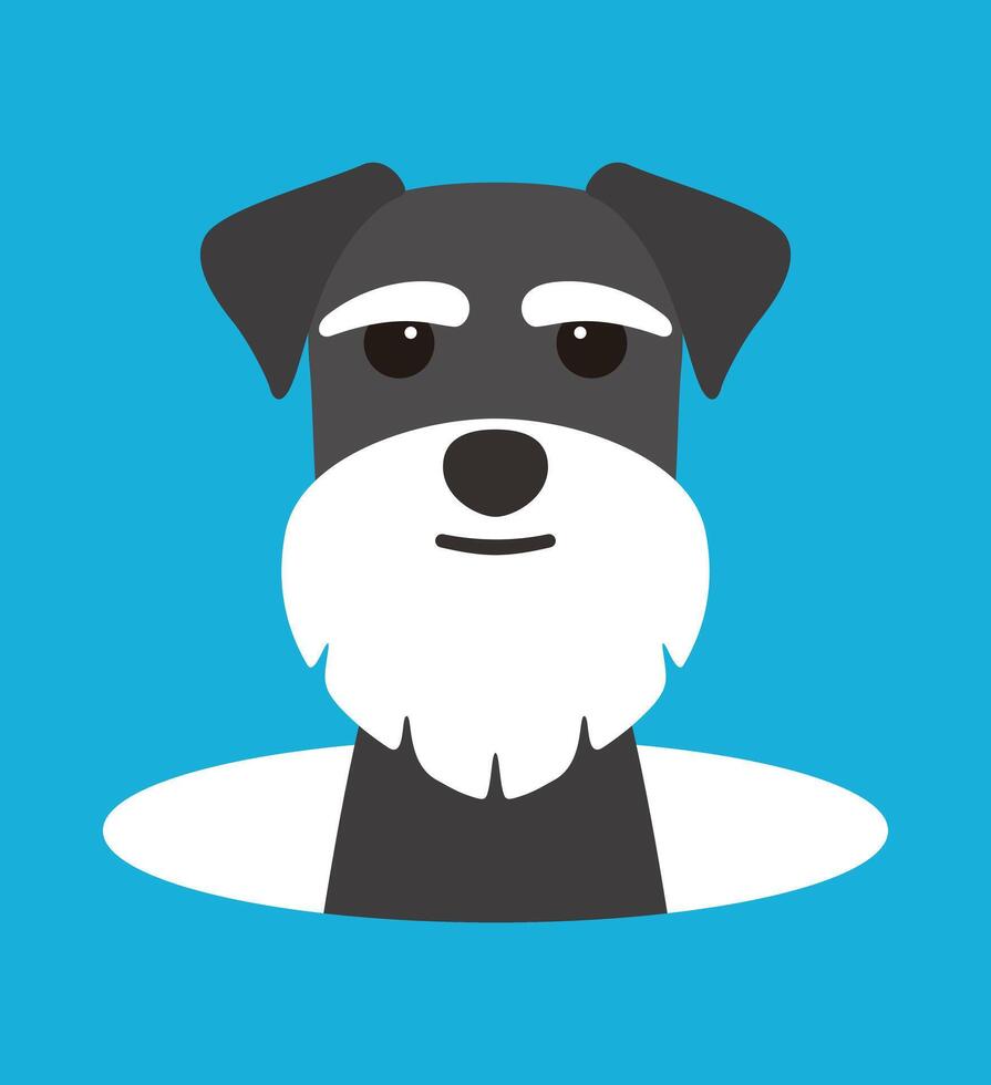 cute Schnauzer dog on the hole, watching, illustration vector