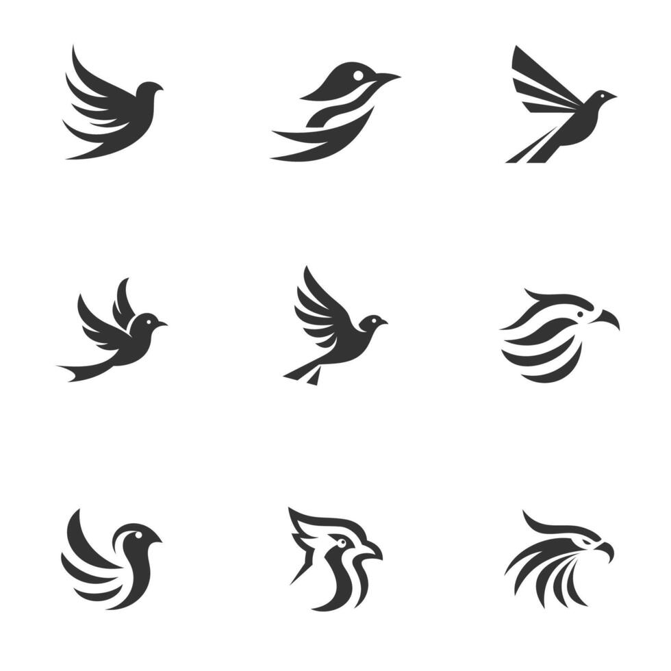 Professional Bird Logo Branding Package collection vector