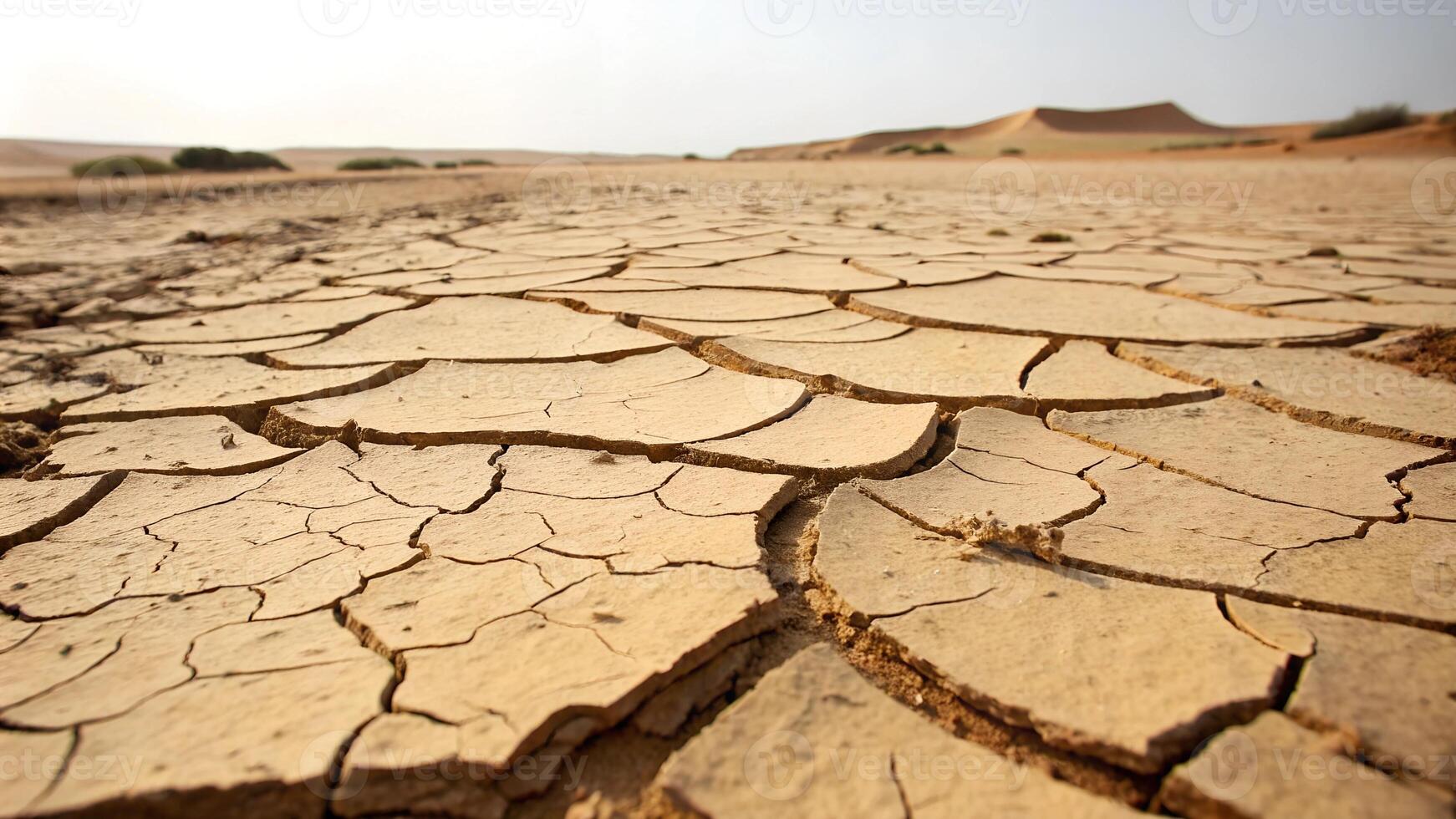 Seamless Cracked Earth Texture in Warm, Dry, Desert Tones photo