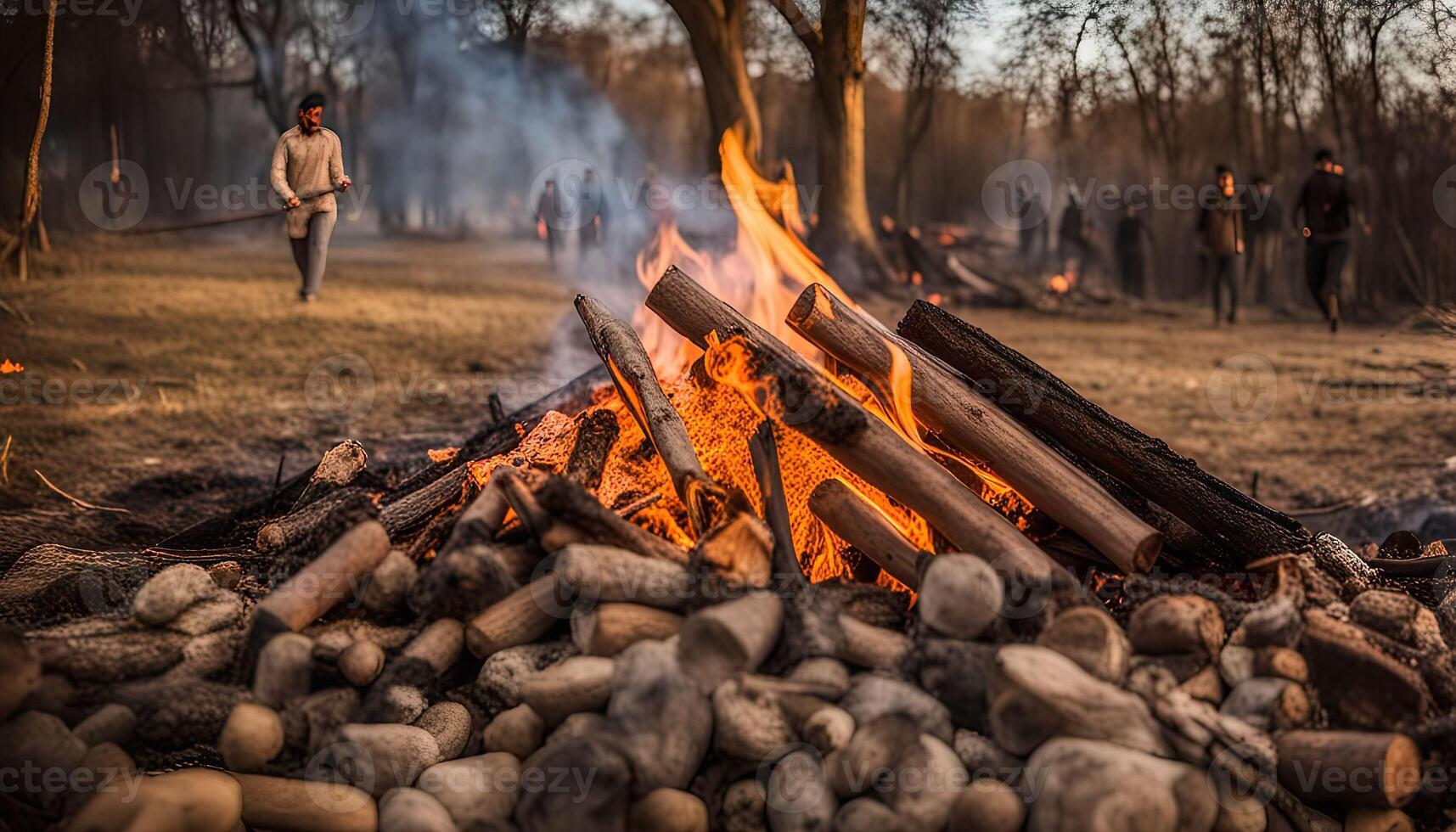Campfire in the Woods photo