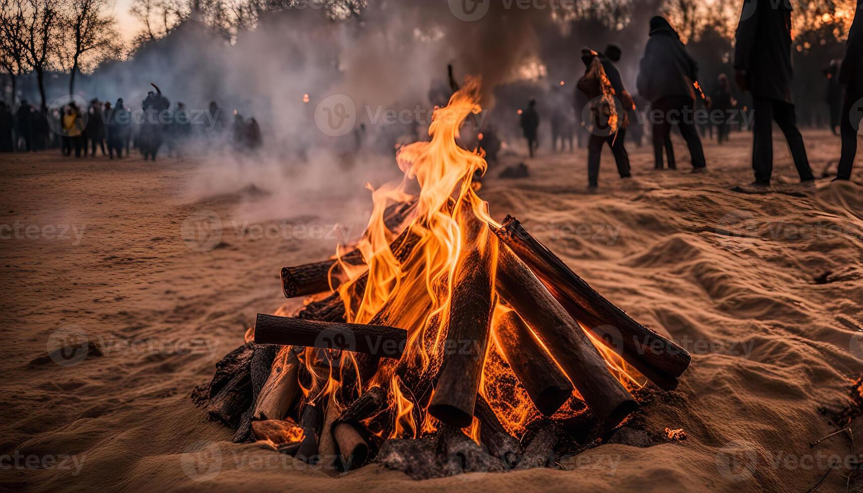 Campfire in the Wilderness photo
