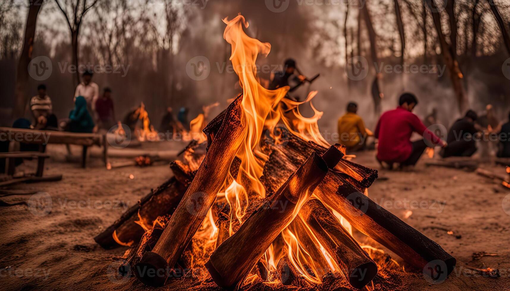 Campfire in the Forest photo