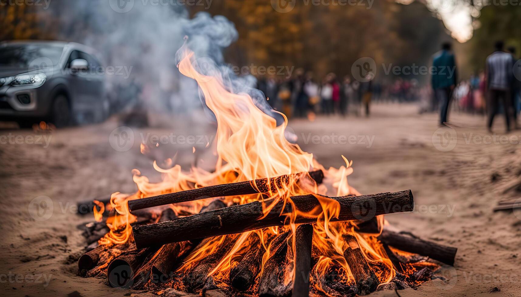 A Bonfire in the Woods photo