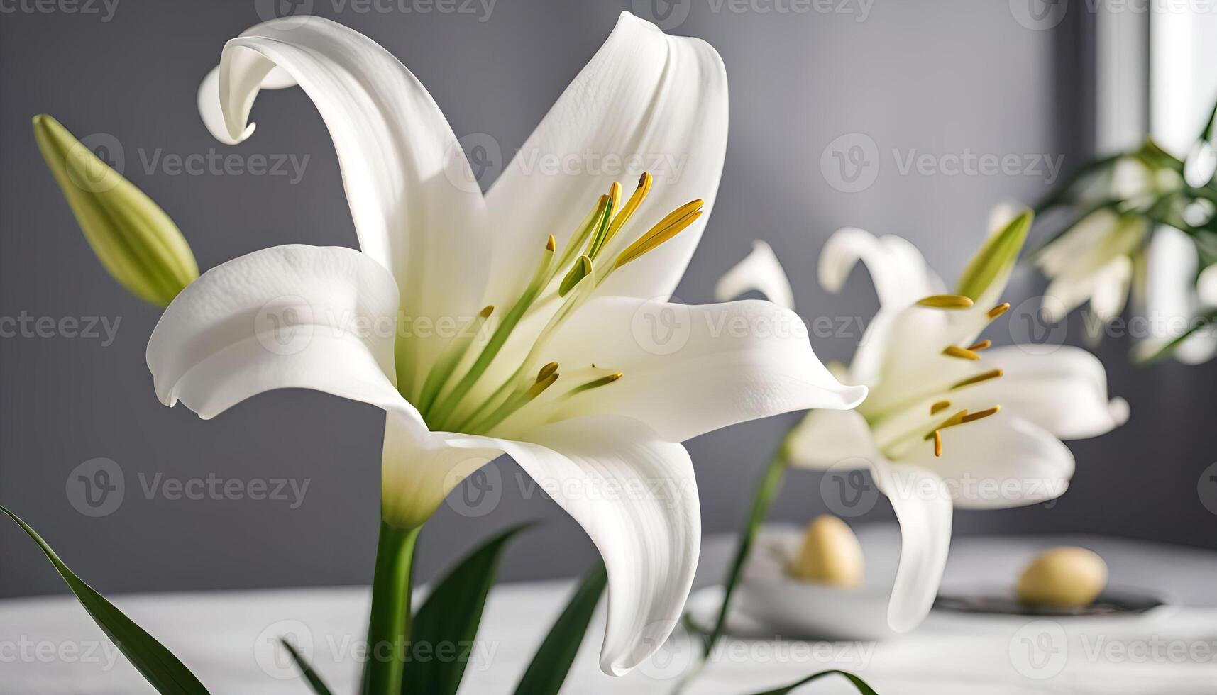 Elegant White Lily Flowers photo