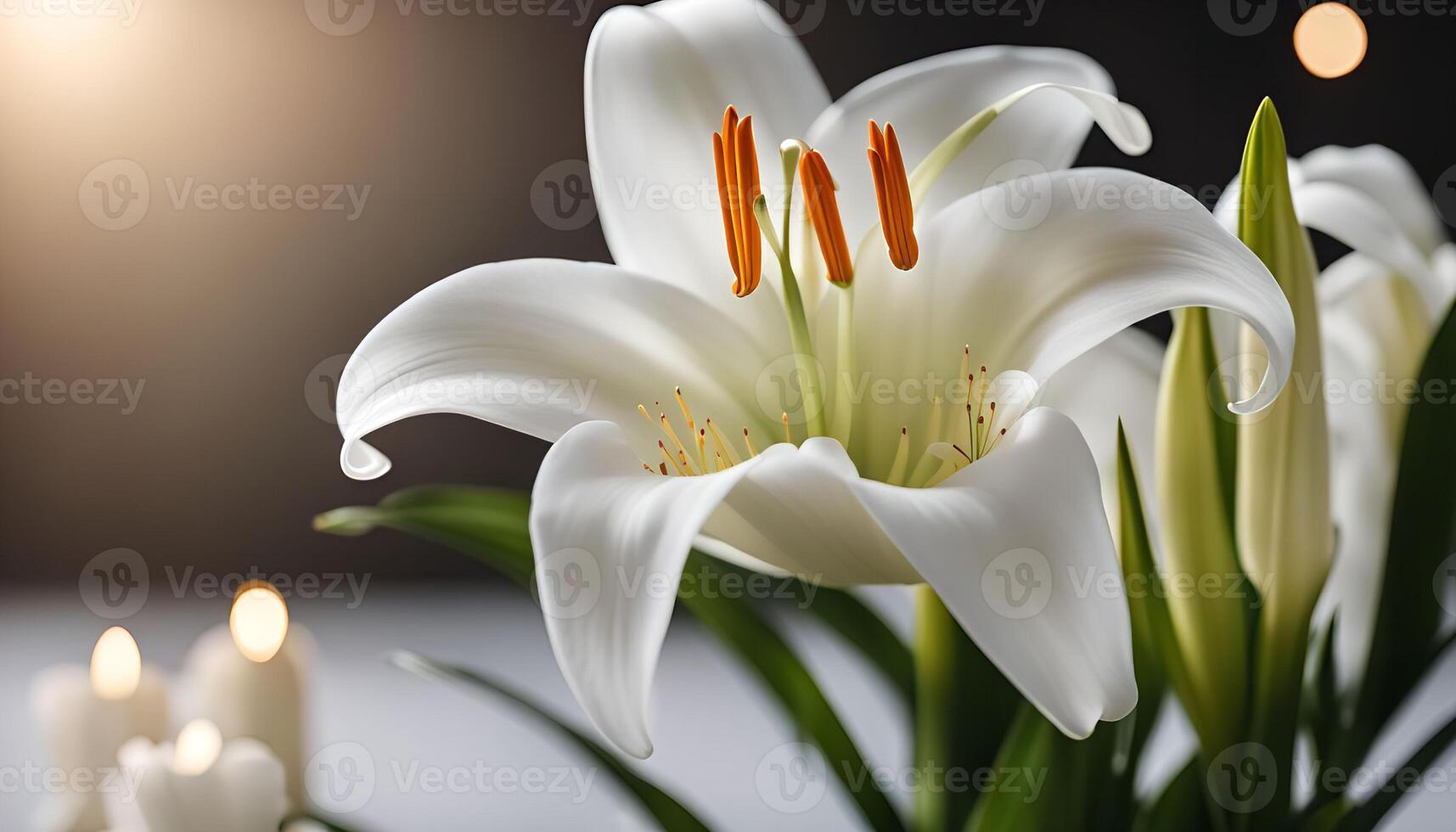 Close-up of a White Lily photo