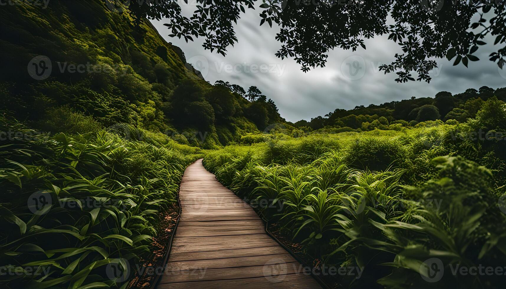 Wooden Path Through Lush Green Valley photo