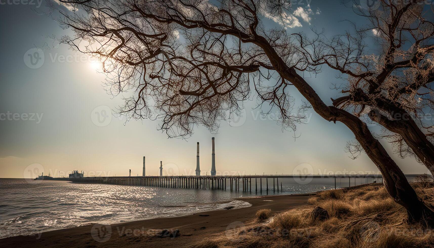 Coastal Landscape with a Pier and a Silhouetted Tree photo